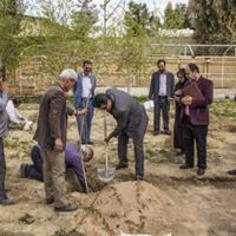 کاشت نهال در محوطه موزه منطقه‌ای جنوب شرق در زاهدان