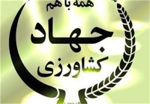 اولویت تنظیم بازار تخم‌مرغ با اتکا به تولید داخلی
