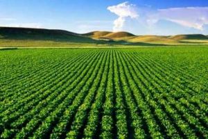 زندگی دوباره در مرز ایلام