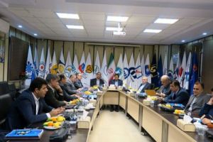 سندیکا باید حامی منافع مشترک شرکت‌های بیمه باشد