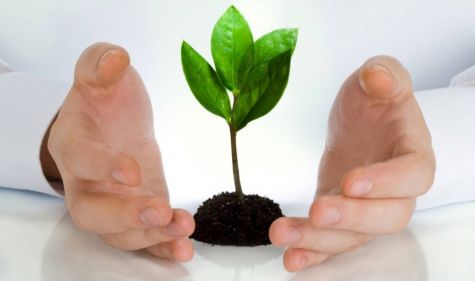 یک معیار برای انتخاب مدیران بیمه‌ای